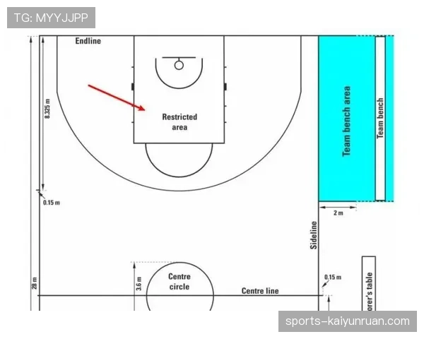 罚球规则NBA与FIBA区别的条文细节深度解析